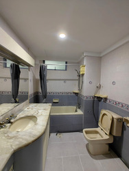 Emerald Park (D3), Condominium #457964161
